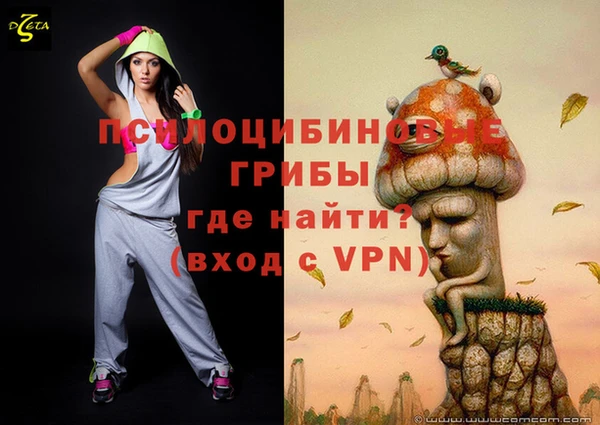 первитин Белокуриха